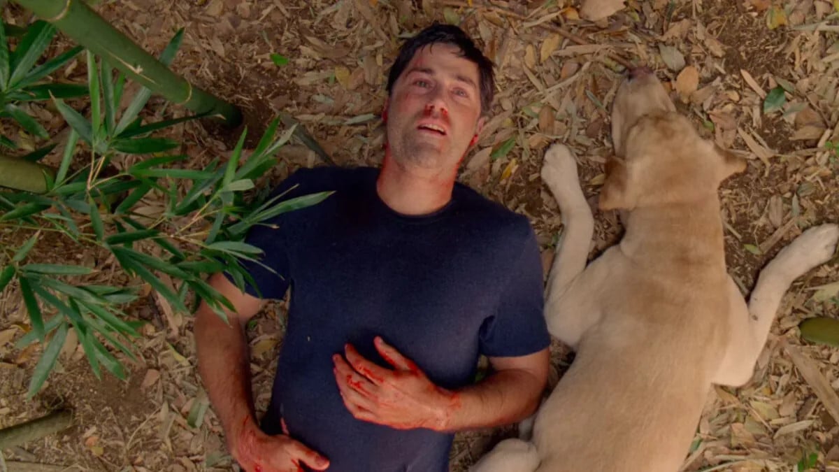 The Best Movie to Watch If You Love Lost